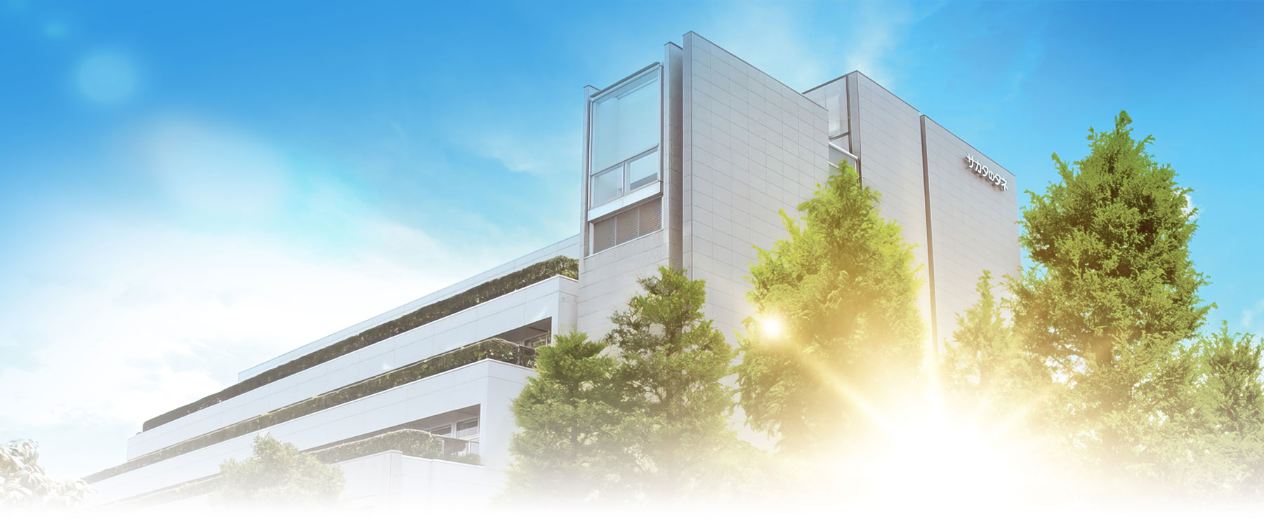 Investigador en Kakegawa